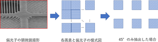 左：偏光子の顕微鏡撮影画像、中央：各画素と偏光子の模式図、右：45°のみ抽出した場合の模式図