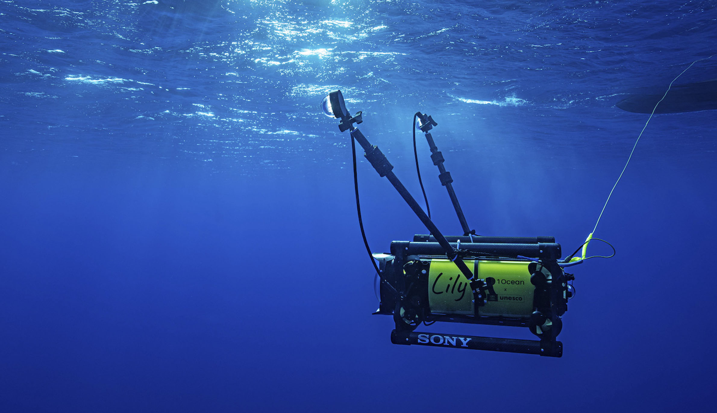 海面付近を探索する黄色い潜水撮影ロボット「リリー（Lily）」