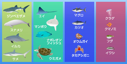 魚介類分類前