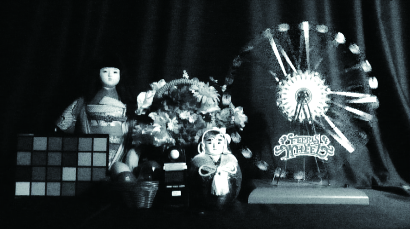 比較画像：暗視下での日本人形、お花、観覧車の模型左：白黒画像