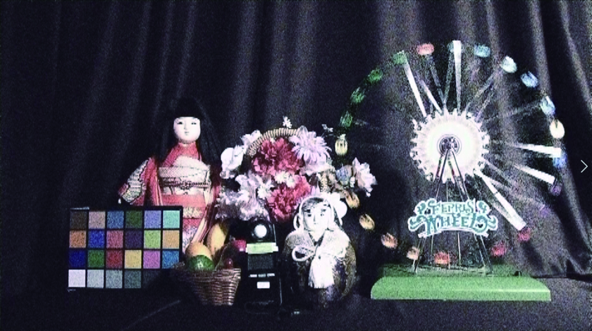 比較画像：暗視下での日本人形、お花、観覧車の模型右：カラー画像