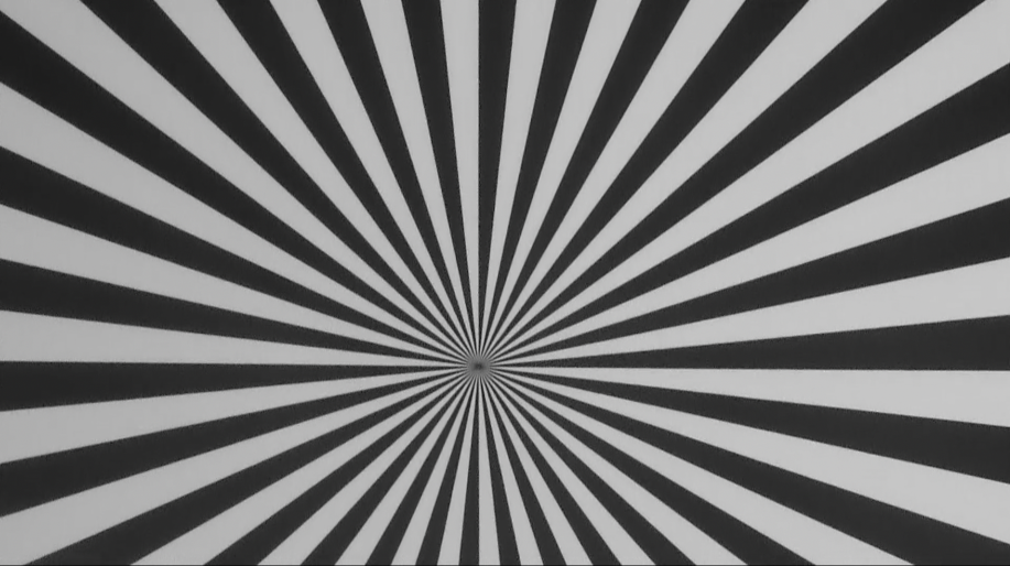 比較画像：セクタースターテストチャート