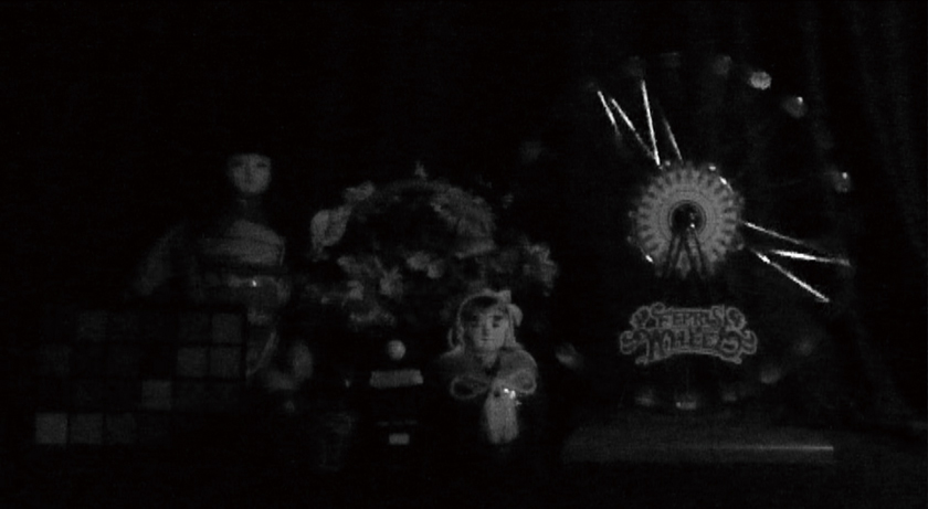 比較画像：暗視下での日本人形、お花、観覧車の模型