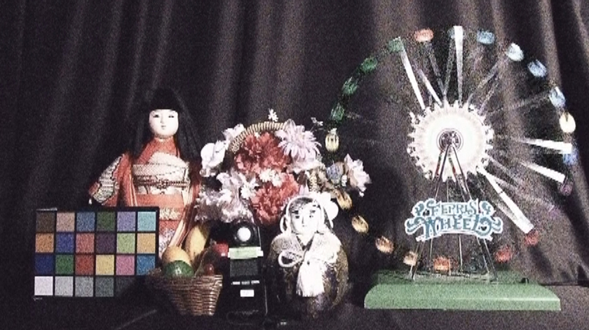 比較画像：暗視下での日本人形、お花、観覧車の模型