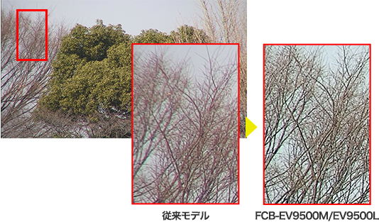 比較画像：緑の木と枯れた木/左：従来モデル、右：FCB-EV9500M、FCB-EV9500L