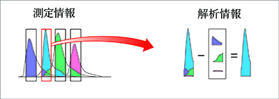 FP7000_コンペンセーション