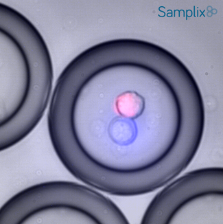 gen0_マイクロキャリア