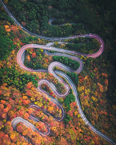 ソニー株式会社 ニュースリリース Sony World Photography Awards 2021 年間最優秀賞を発表
