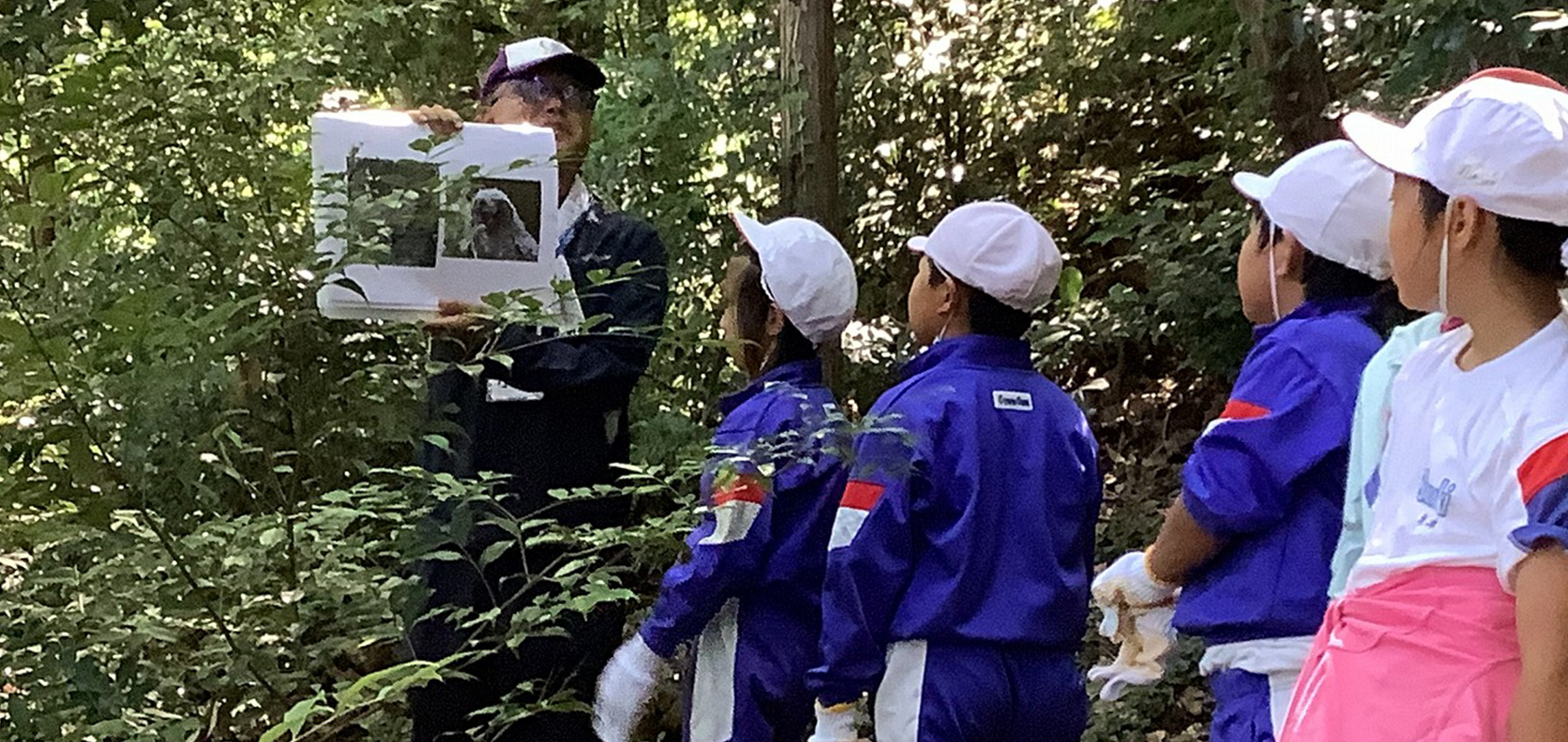 森の中で指導員が子どもたちにパネルを使って解説している