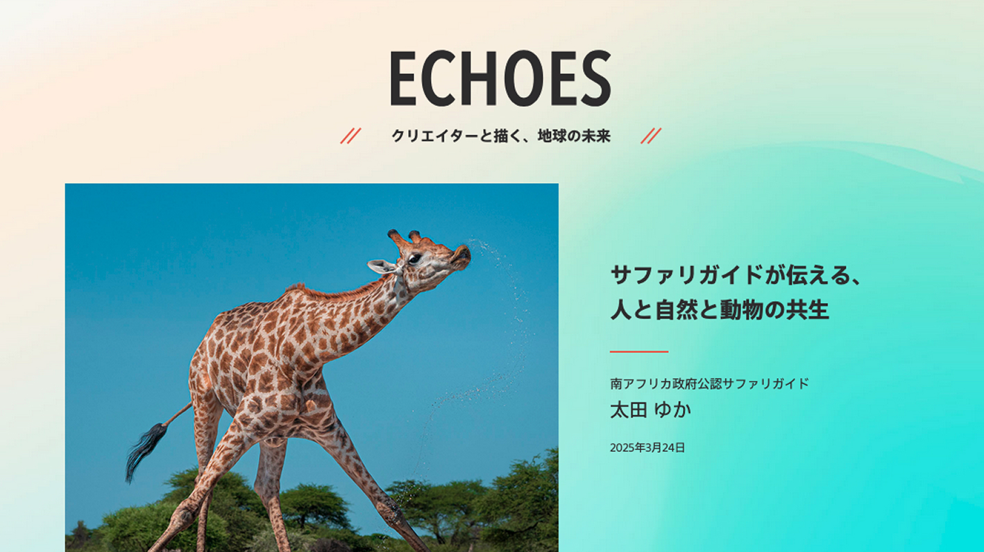 サファリガイドが伝える、人と自然と動物の共生 南アフリカ政府公認サファリガイド 太田 ゆか