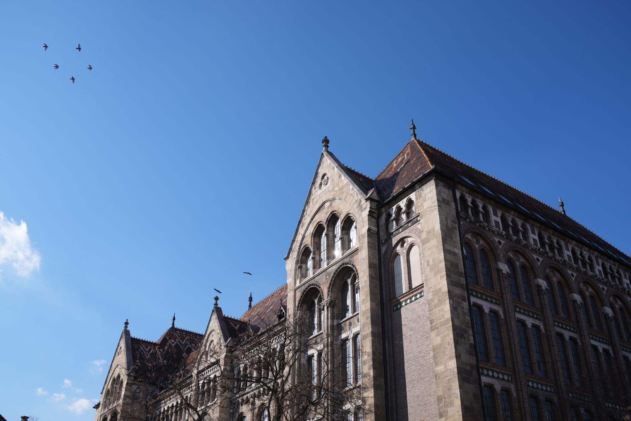 A sample image taken from below of a solemn Western-style building against the blue sky Click to open modal
