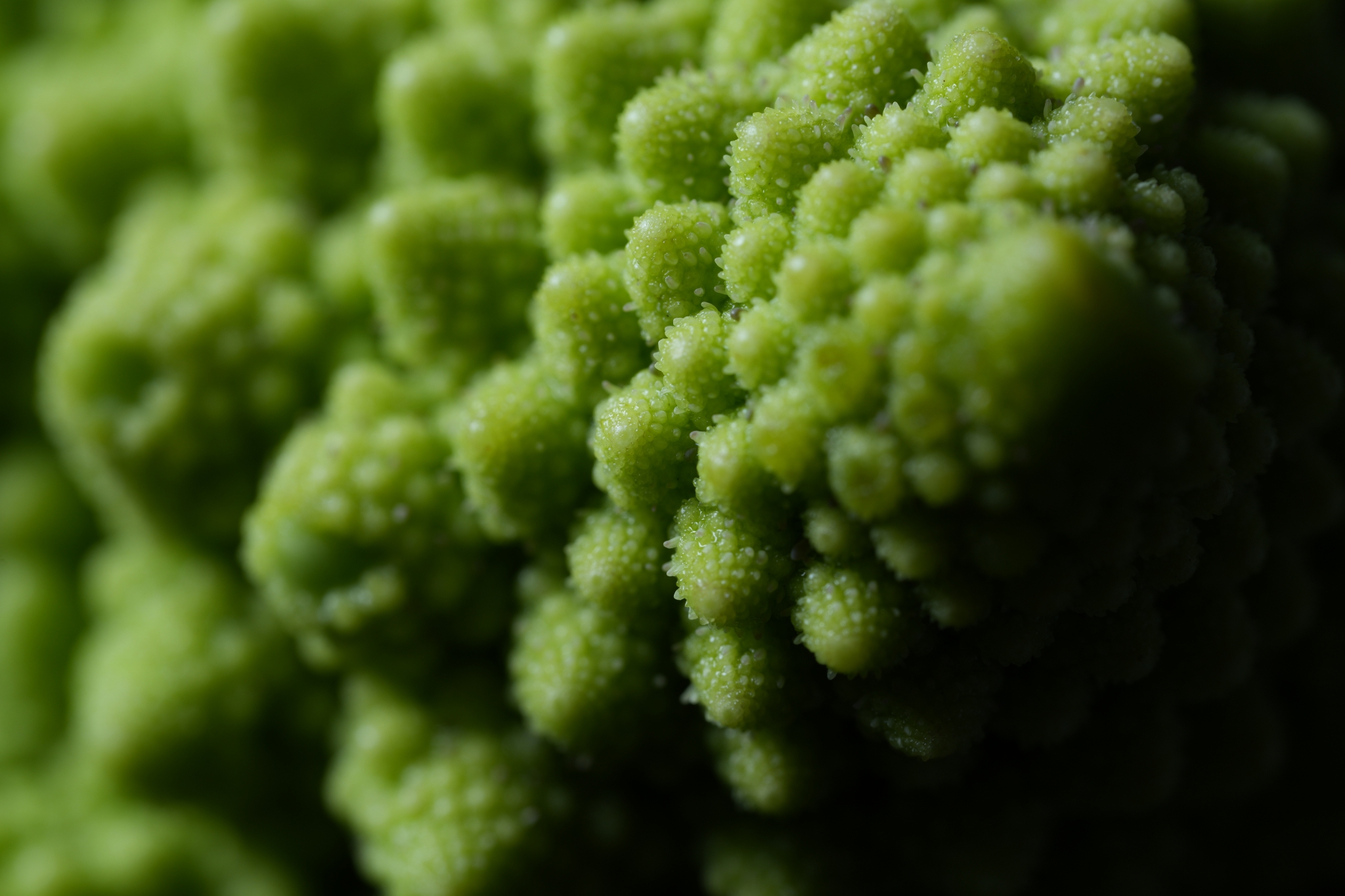 Close-up of Romanesco Click to open modal