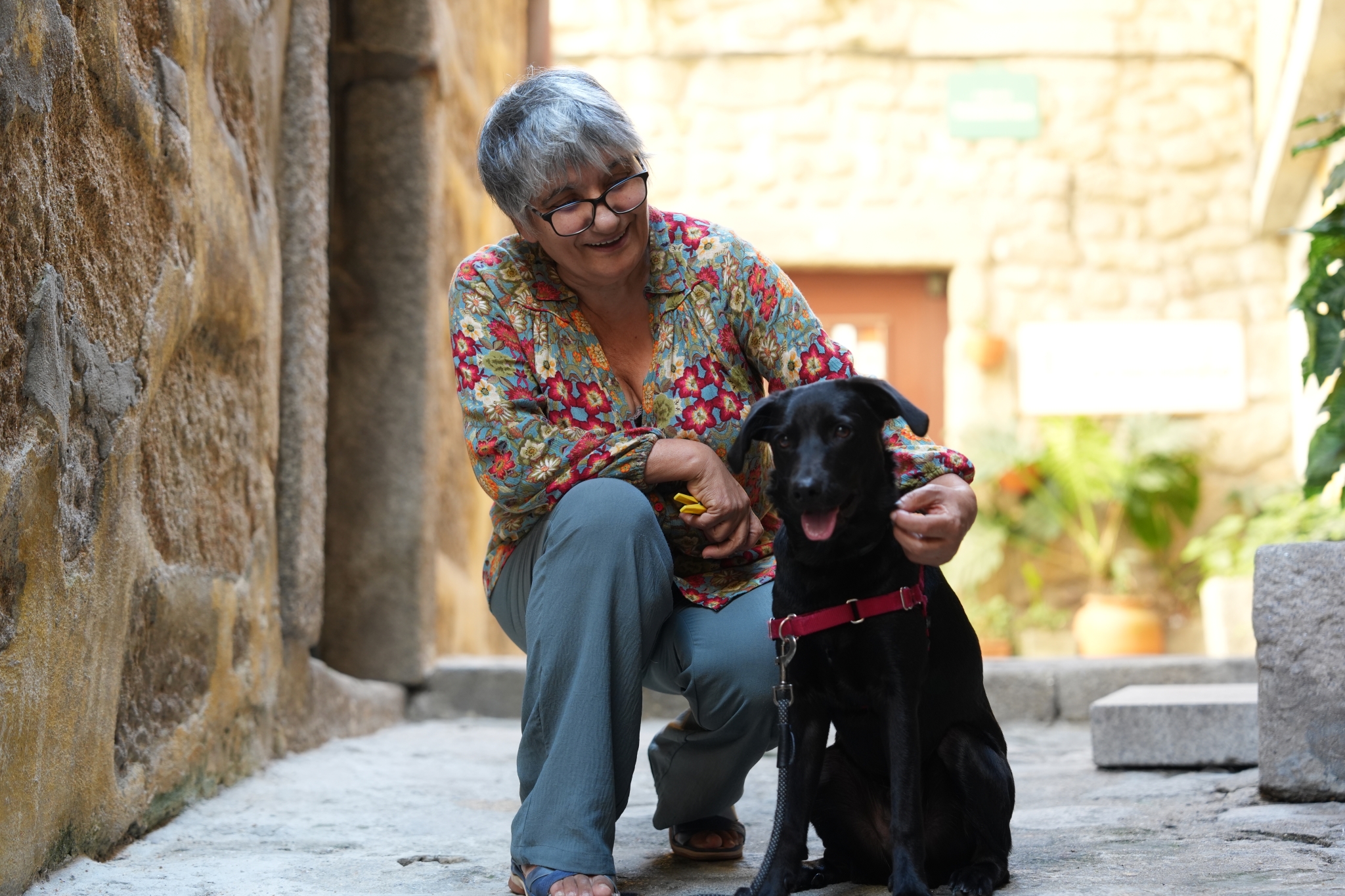 A candid snapshot of an elderly woman with a dog Click to open modal