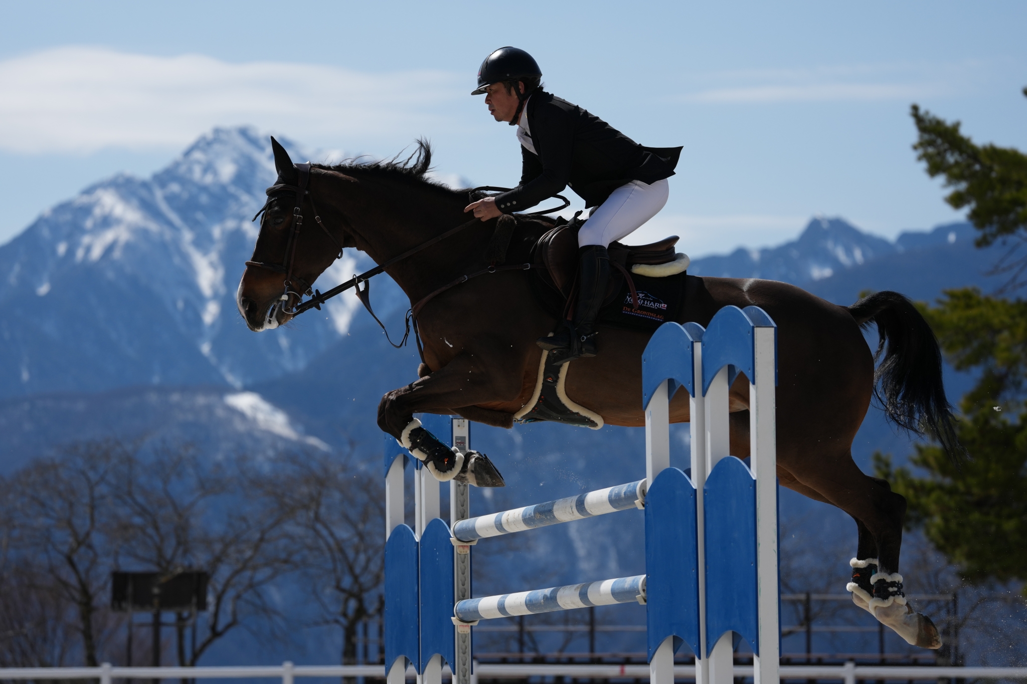 Horse and rider jumping a blue hurdle with mountains in the background. Click to open modal