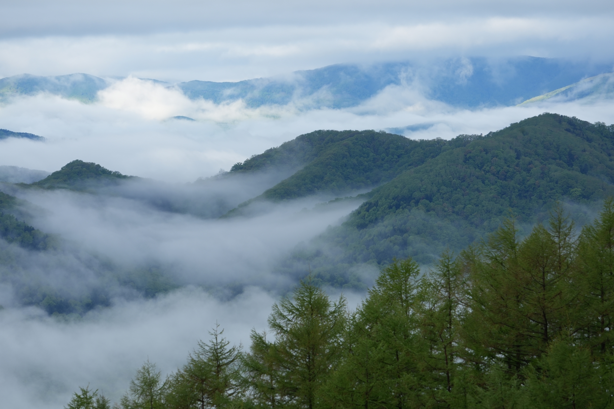A sea of clouds among forested mountains. Click to open modal