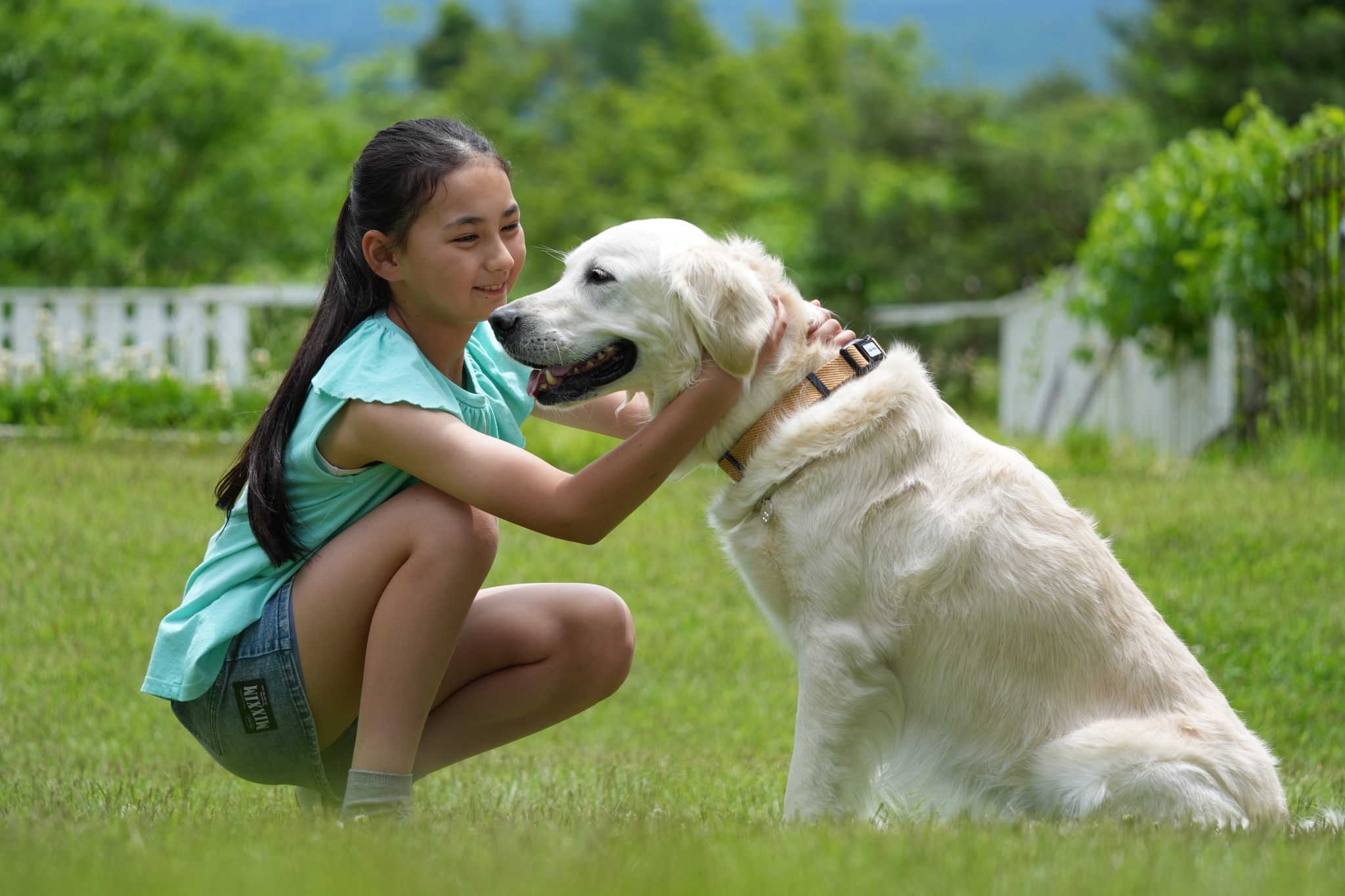 A young girl gently strokes a dog in a garden. Click to open modal