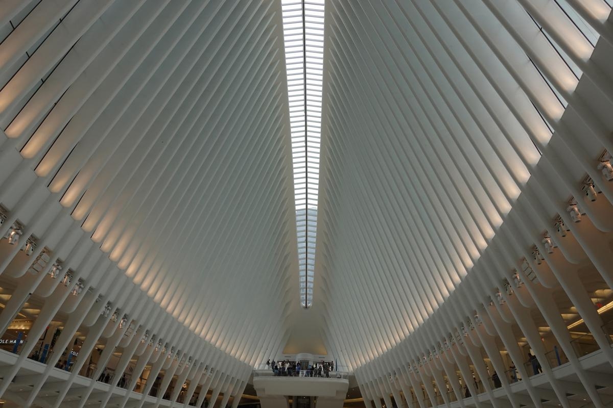 View of high ceiling of building (World Trade Center Transportation Hub, New York) Click to open modal