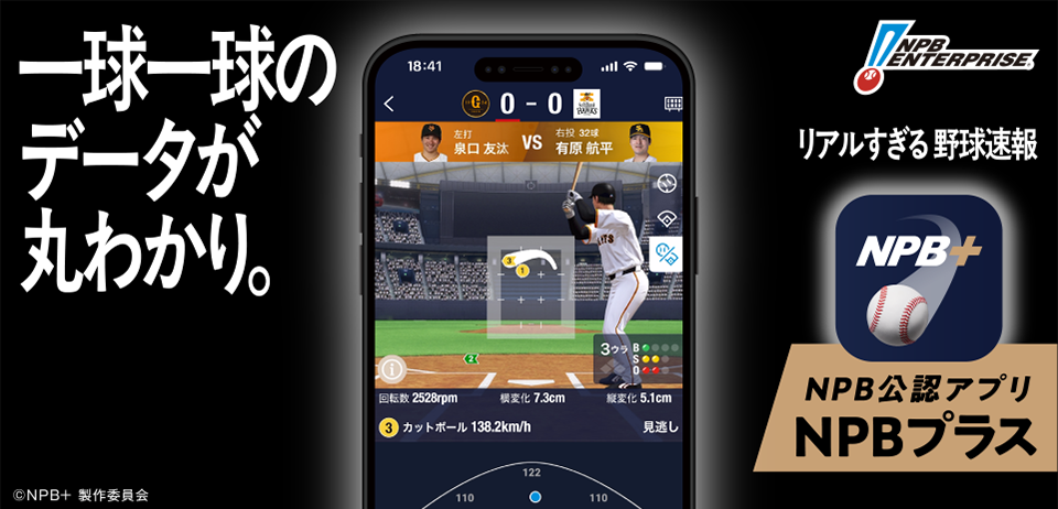 NPB+ application Image