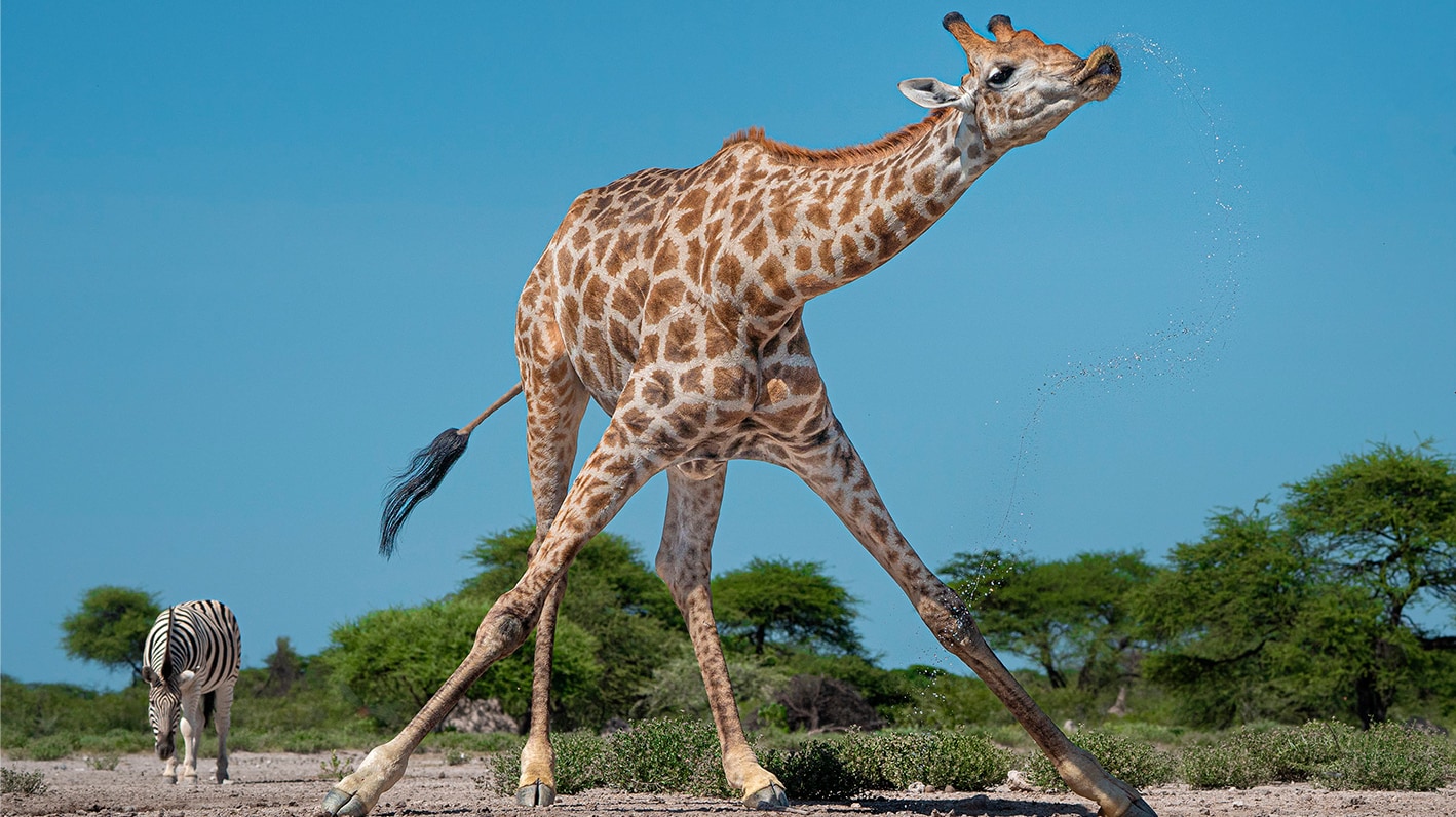 ECHOES クリエイターと描く、地球の未来