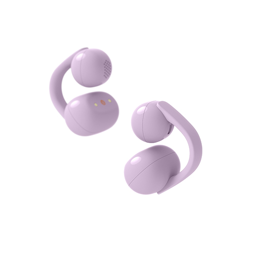 Image: LinkBuds Clip