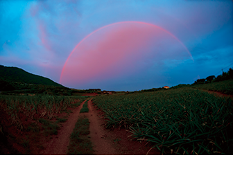 © Yoshinori Nishino