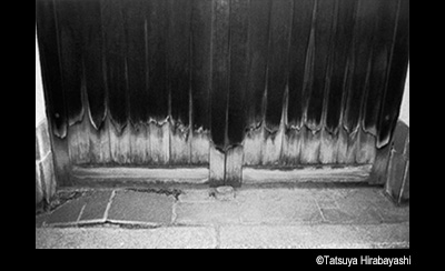 © Tasuya Hirabayashi