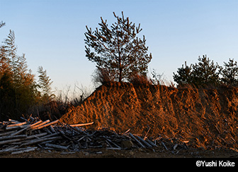 Faculty, Department of Photography, College of Art,Nihon University Photo Exhibition