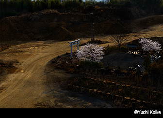 Faculty, Department of Photography, College of Art,Nihon University Photo Exhibition