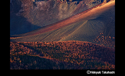 © Hideyuki Takahashi