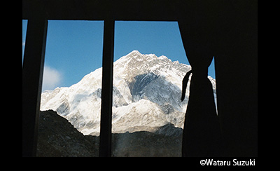 &copy; Wataru Suzuki