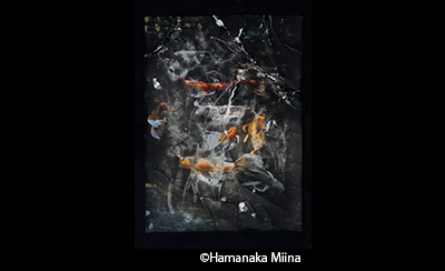 &copy;Hamanaka Miina