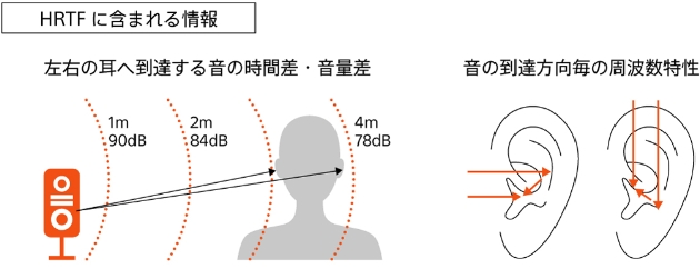 HRTFの説明図