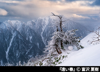 『遠い春』© 富沢 夏樹