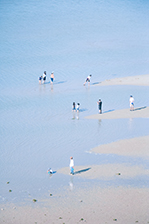 静かなひととき