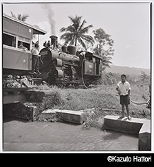 日本大学芸術学部写真学科 教員作品展