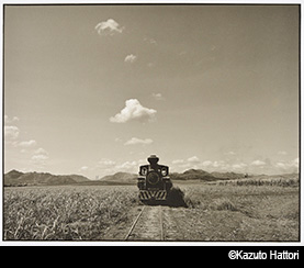 日本大学芸術学部写真学科 教員作品展