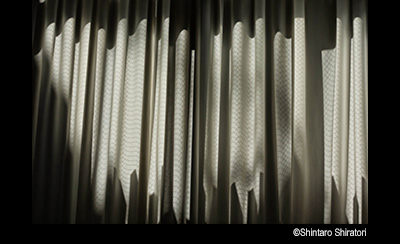 © Shintaro Shiratori