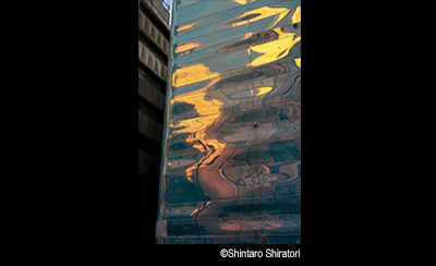 © Shintaro Shiratori