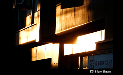 © Shintaro Shiratori