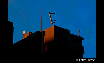 © Shintaro Shiratori