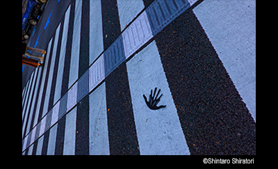 © Shintaro Shiratori