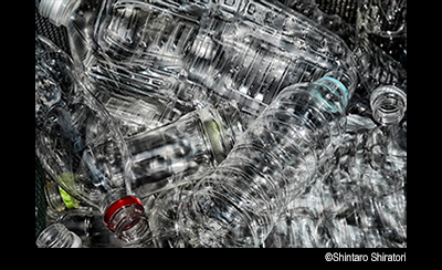 © Shintaro Shiratori