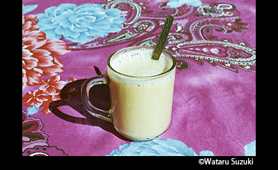 &copy; Wataru Suzuki