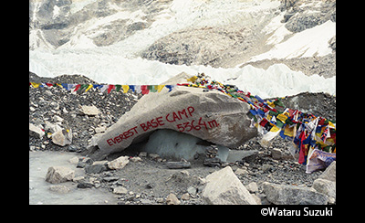 &copy; Wataru Suzuki