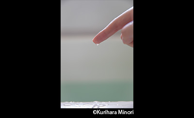 &copy;Kurihara Minori